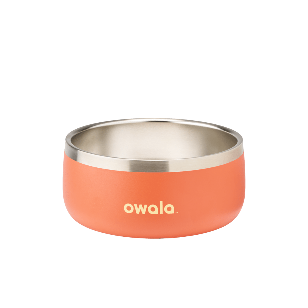 Pet Bowl
